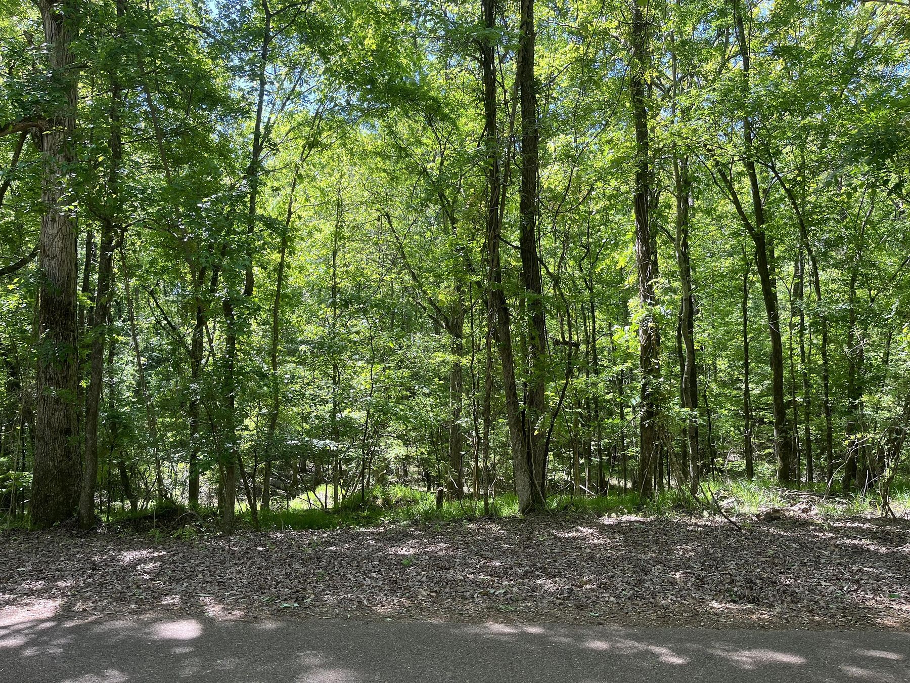 1 Acre of Land for Sale in Columbus, Mississippi