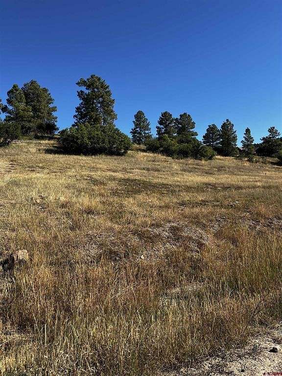 0.49 Acres of Residential Land for Sale in Pagosa Springs, Colorado