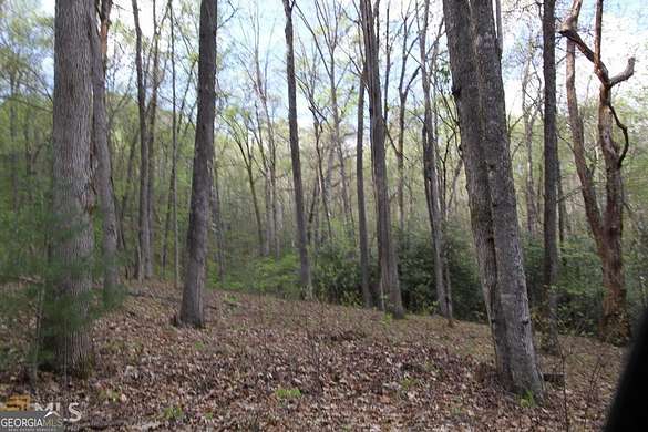 3 Acres of Residential Land for Sale in Dillard, Georgia