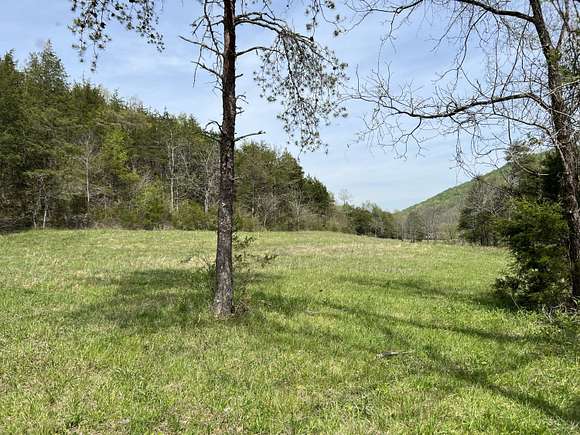 35.5 Acres of Recreational Land & Farm for Sale in Thorn Hill, Tennessee