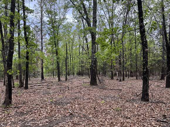 12 Acres of Agricultural Land for Sale in St. Joe, Arkansas