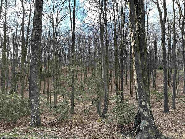 2 Acres of Residential Land for Sale in Morgantown, West Virginia