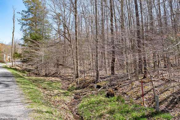 0.23 Acres of Residential Land for Sale in Davis, West Virginia