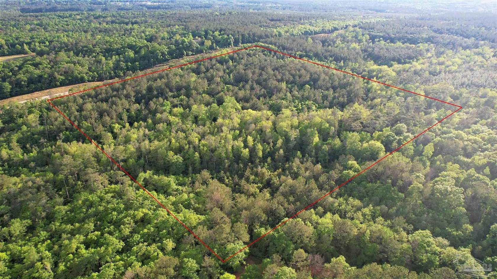 38.1 Acres of Recreational Land for Sale in Century, Florida