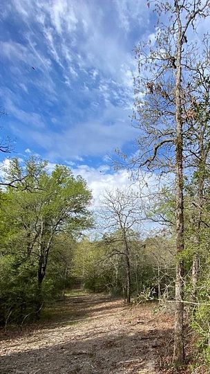 10.45 Acres of Agricultural Land for Sale in Buffalo, Texas