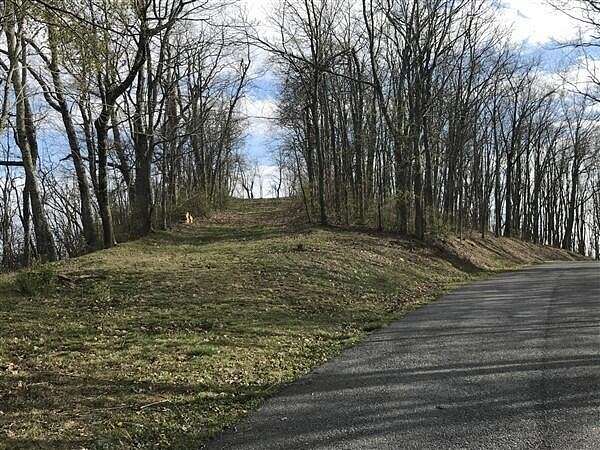 21.6 Acres of Land for Sale in Caldwell, West Virginia