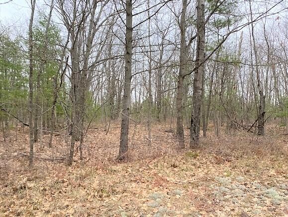 8.5 Acres of Land for Sale in Topinabee, Michigan