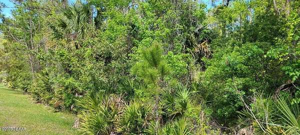 7 Acres of Residential Land for Sale in Ormond Beach, Florida