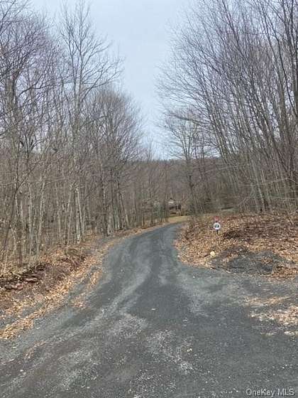 7 Acres of Land for Sale in Jewett, New York