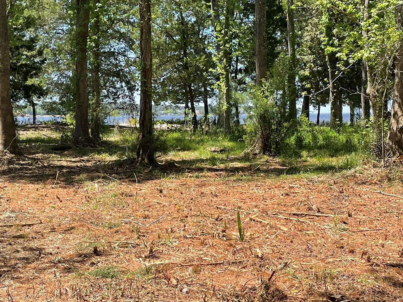50.3 Acres of Land for Sale in Beaufort, North Carolina