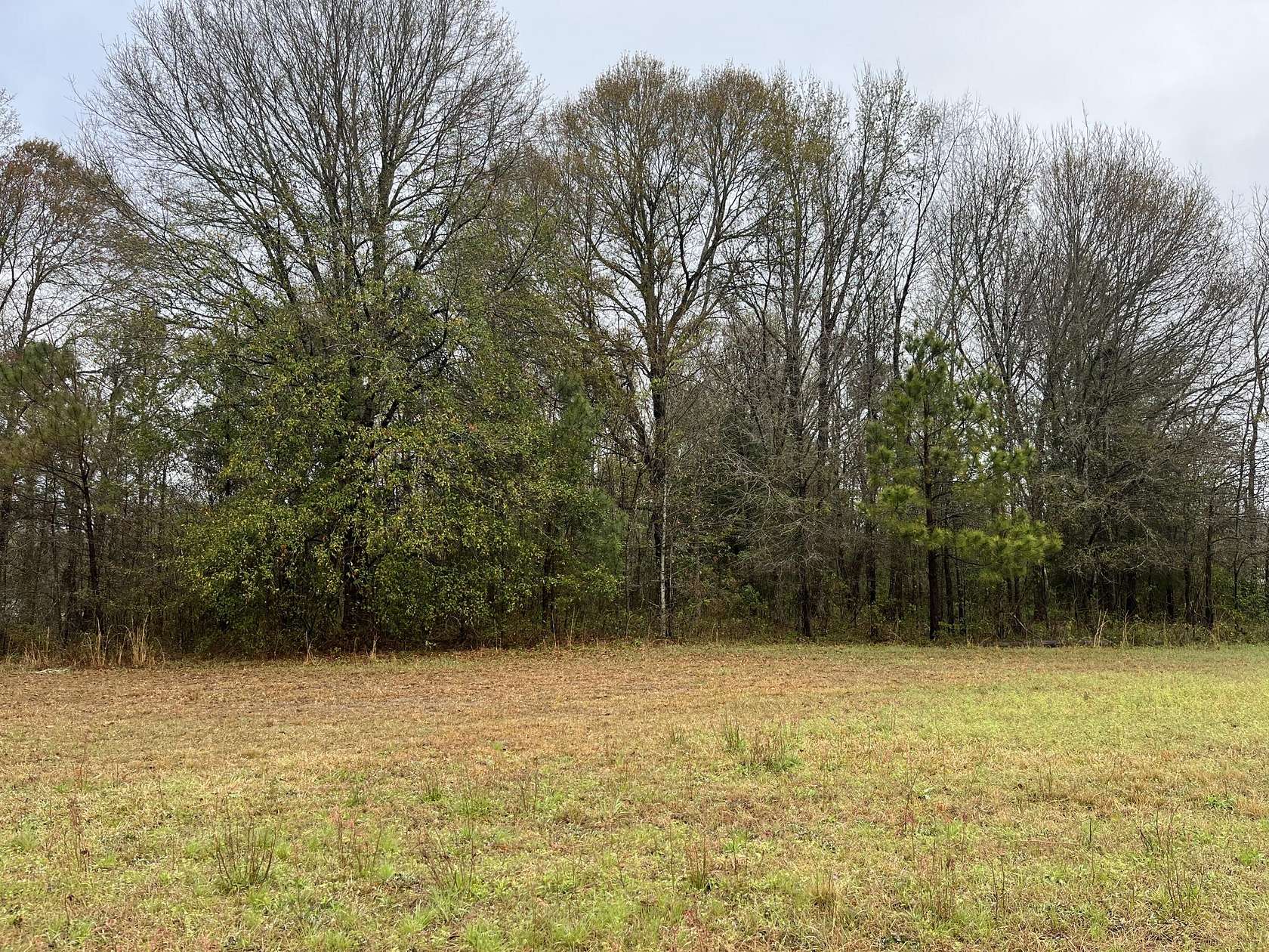 3.2 Acres of Residential Land for Sale in Cross, South Carolina