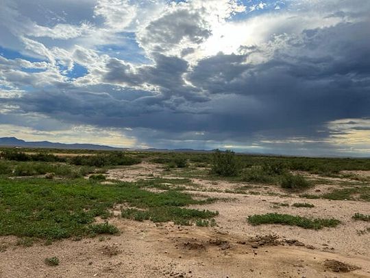 984 Acres of Agricultural Land for Sale in Elephant Butte, New Mexico
