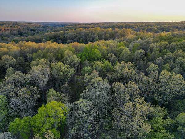 37 Acres of Recreational Land for Sale in Rocky Comfort, Missouri