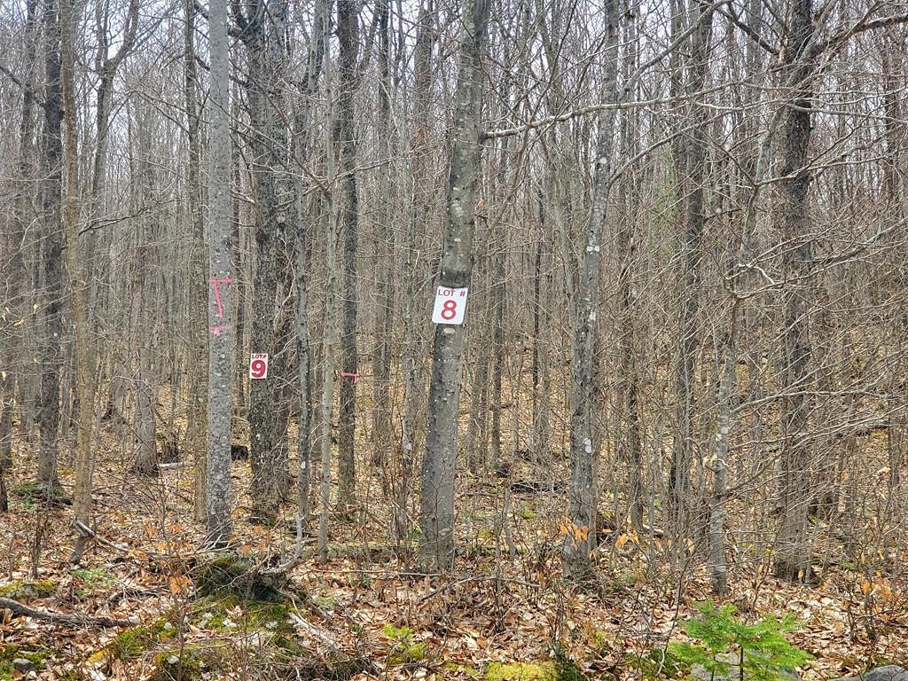 69.6 Acres of Land for Sale in Franklin Town, New York