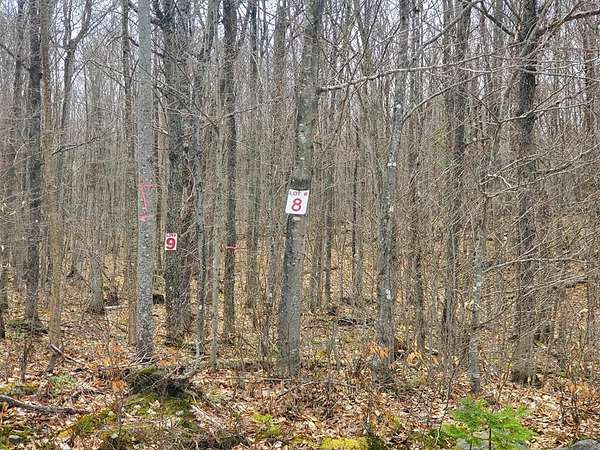 69.6 Acres of Recreational Land for Sale in Merrillsville, New York