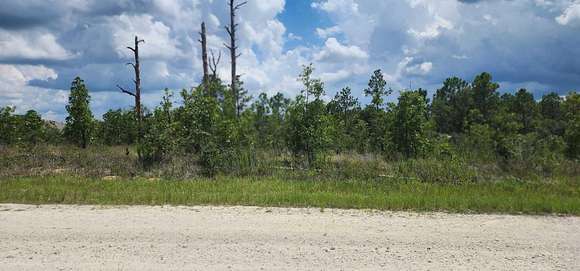 0.45 Acres of Residential Land for Sale in Brooksville, Florida