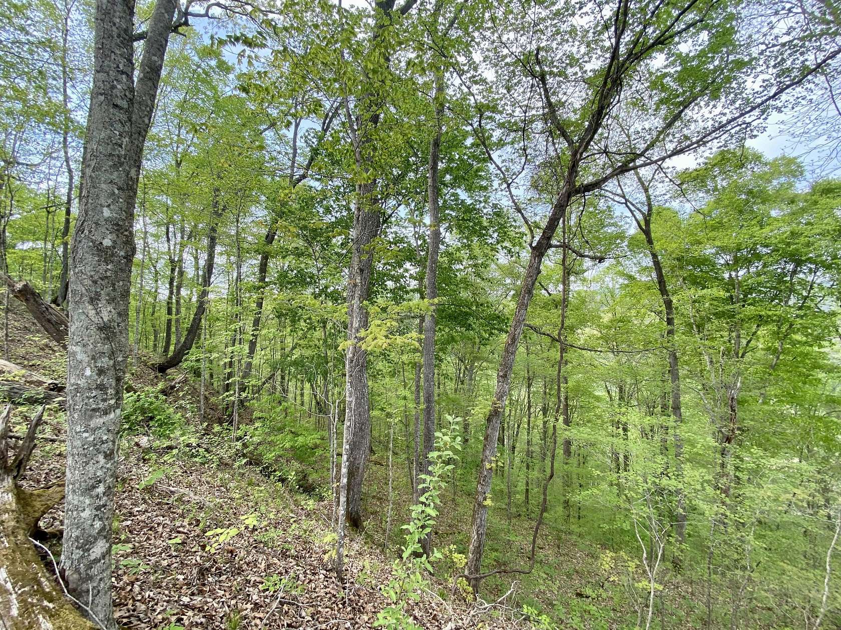 5.4 Acres of Residential Land for Sale in Jackson, Kentucky