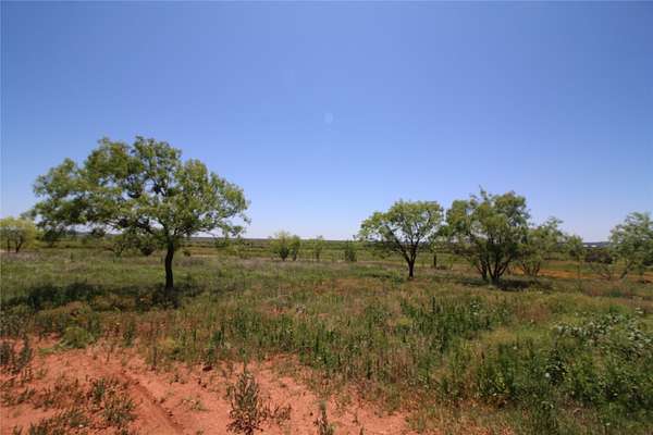 9.12 Acres of Residential Land for Sale in Tuscola, Texas