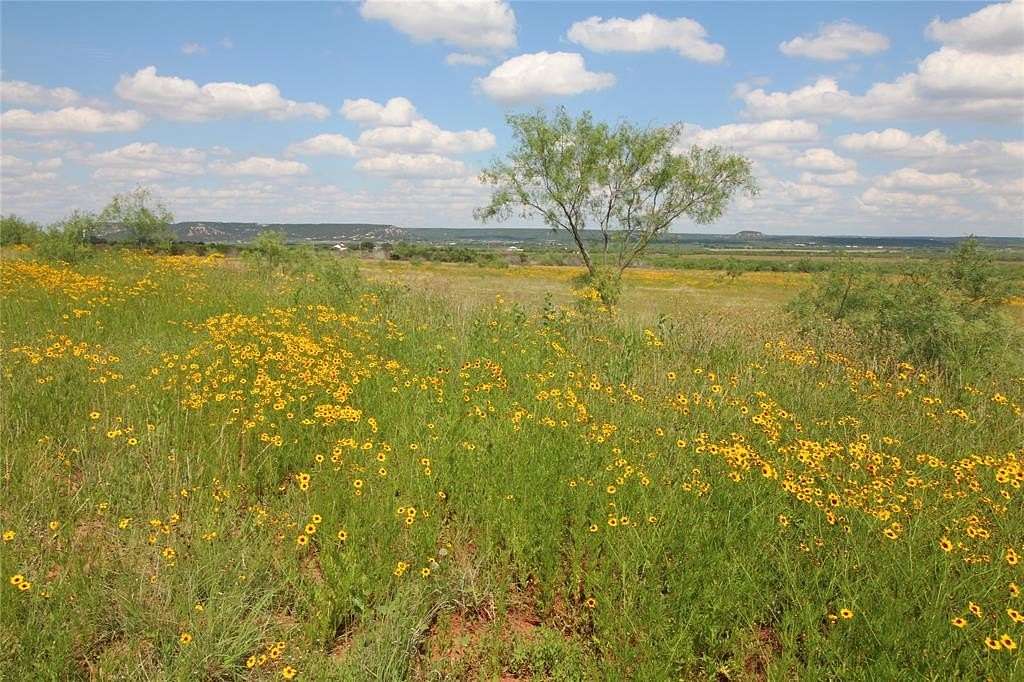 9.124 Acres of Residential Land for Sale in Tuscola, Texas