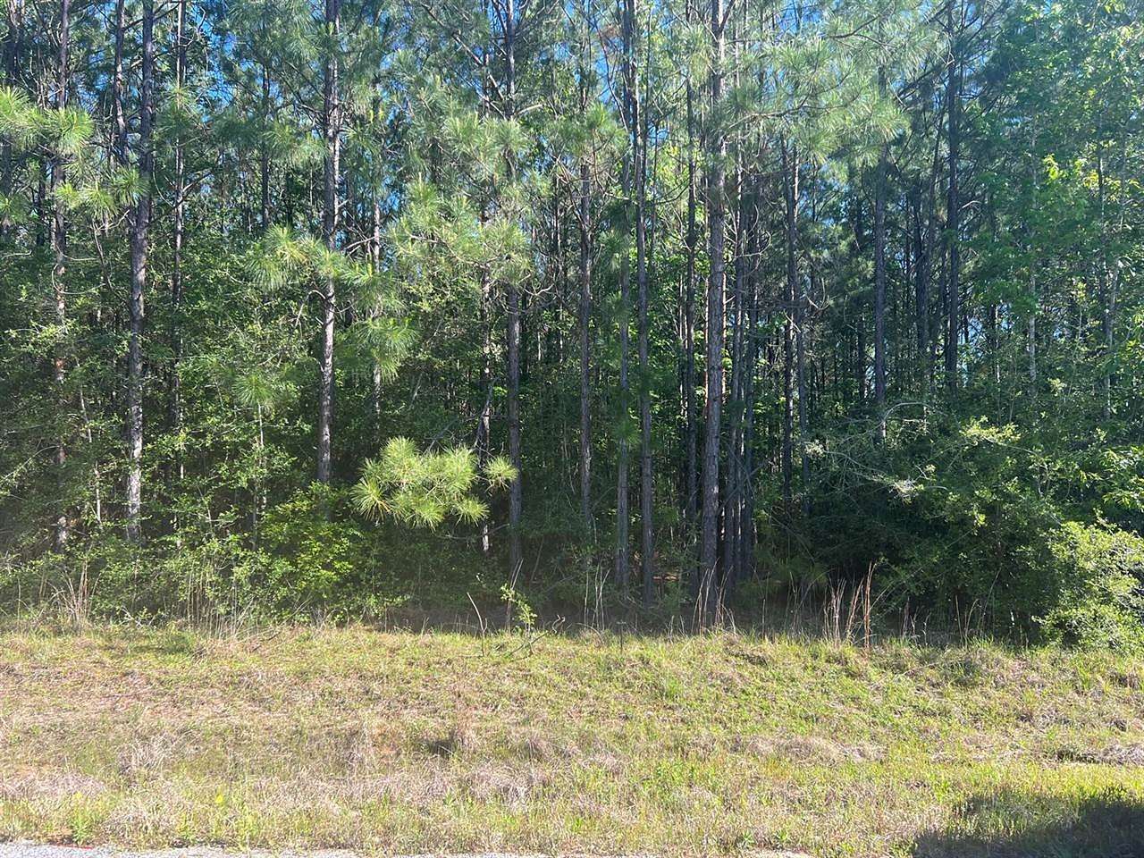 8 Acres of Residential Land for Sale in Merryville, Louisiana