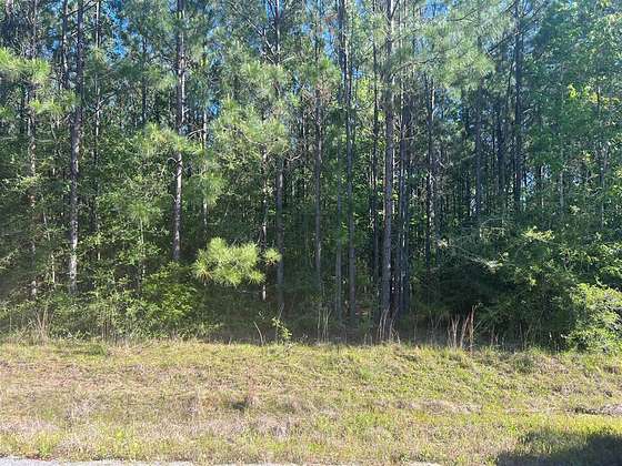 8 Acres of Residential Land for Sale in Merryville, Louisiana