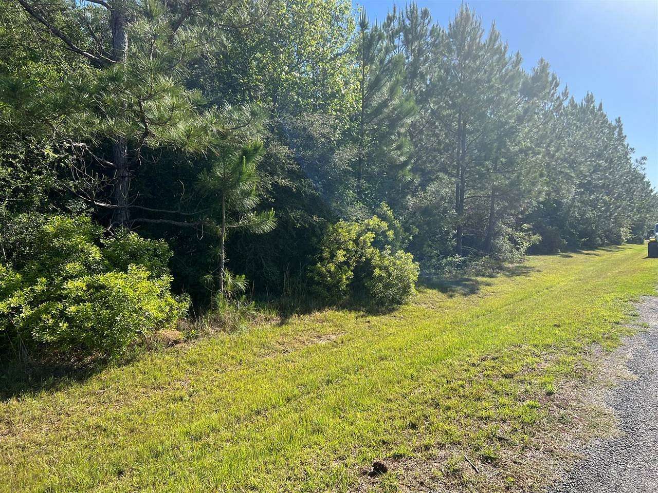 5 Acres of Residential Land for Sale in Merryville, Louisiana