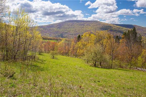7.3 Acres of Residential Land for Sale in Roxbury, New York