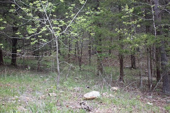 0.69 Acres of Residential Land for Sale in Wheatland, Missouri