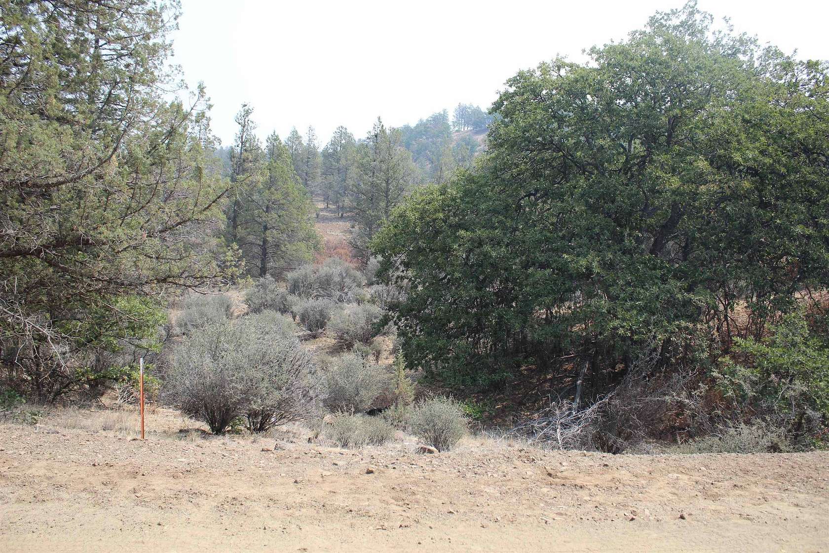 2.9 Acres of Land for Sale in Hornbrook, California