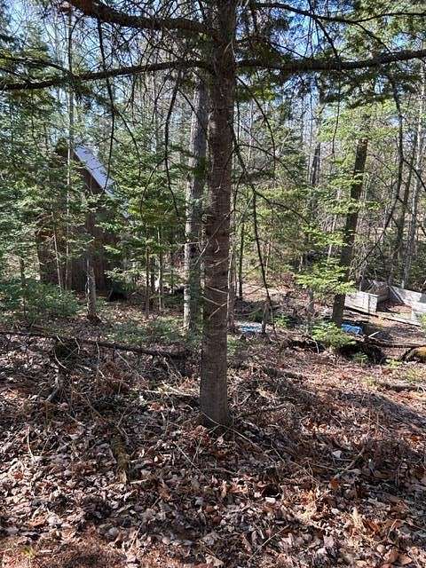 0.71 Acres of Land for Sale in Wolverine, Michigan
