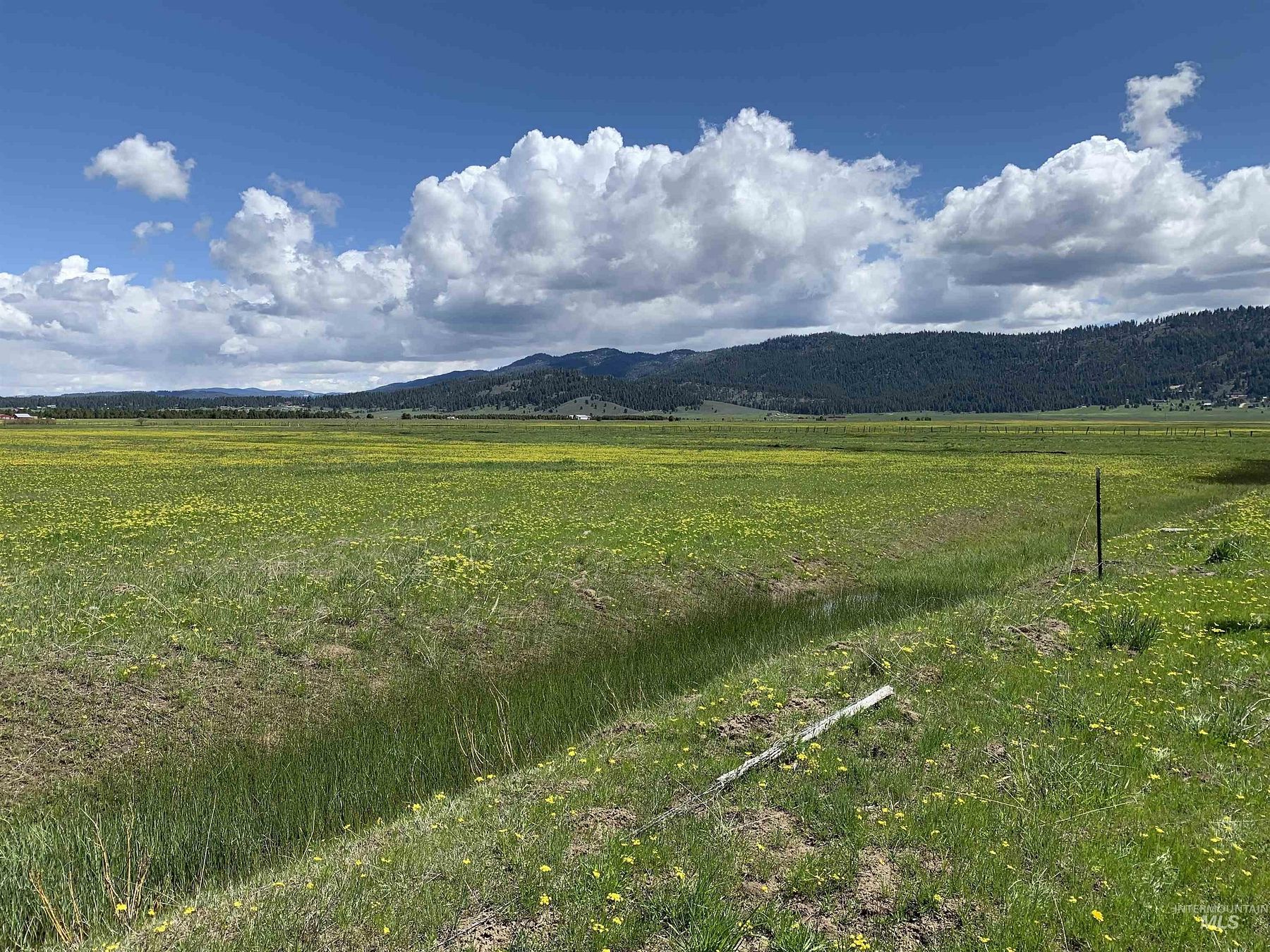 20 Acres of Land for Sale in Cascade, Idaho