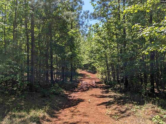 95 Acres of Land for Sale in Winnsboro, South Carolina