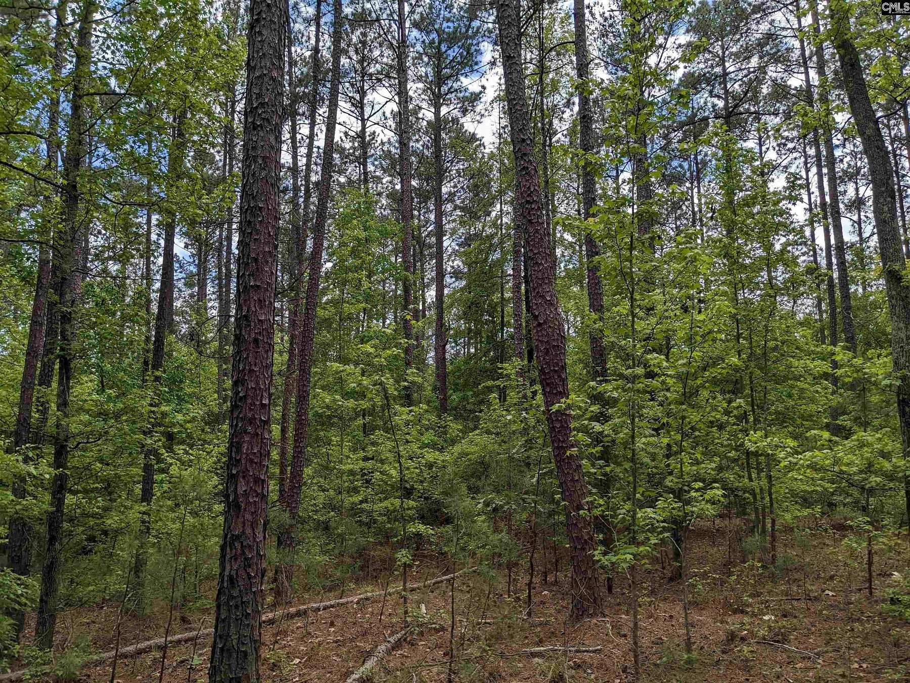 52 Acres of Land for Sale in Ridgeway, South Carolina