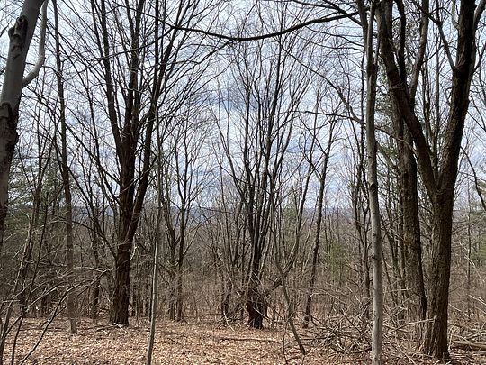 15.4 Acres of Recreational Land for Sale in Odessa, New York