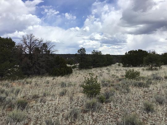 4.75 Acres of Residential Land for Sale in Ramah, New Mexico - LandSearch