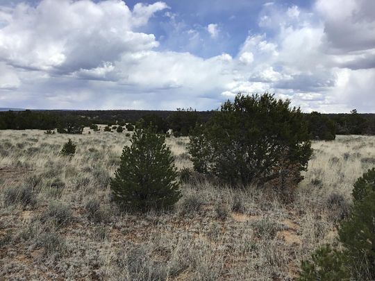 4.75 Acres of Residential Land for Sale in Ramah, New Mexico - LandSearch