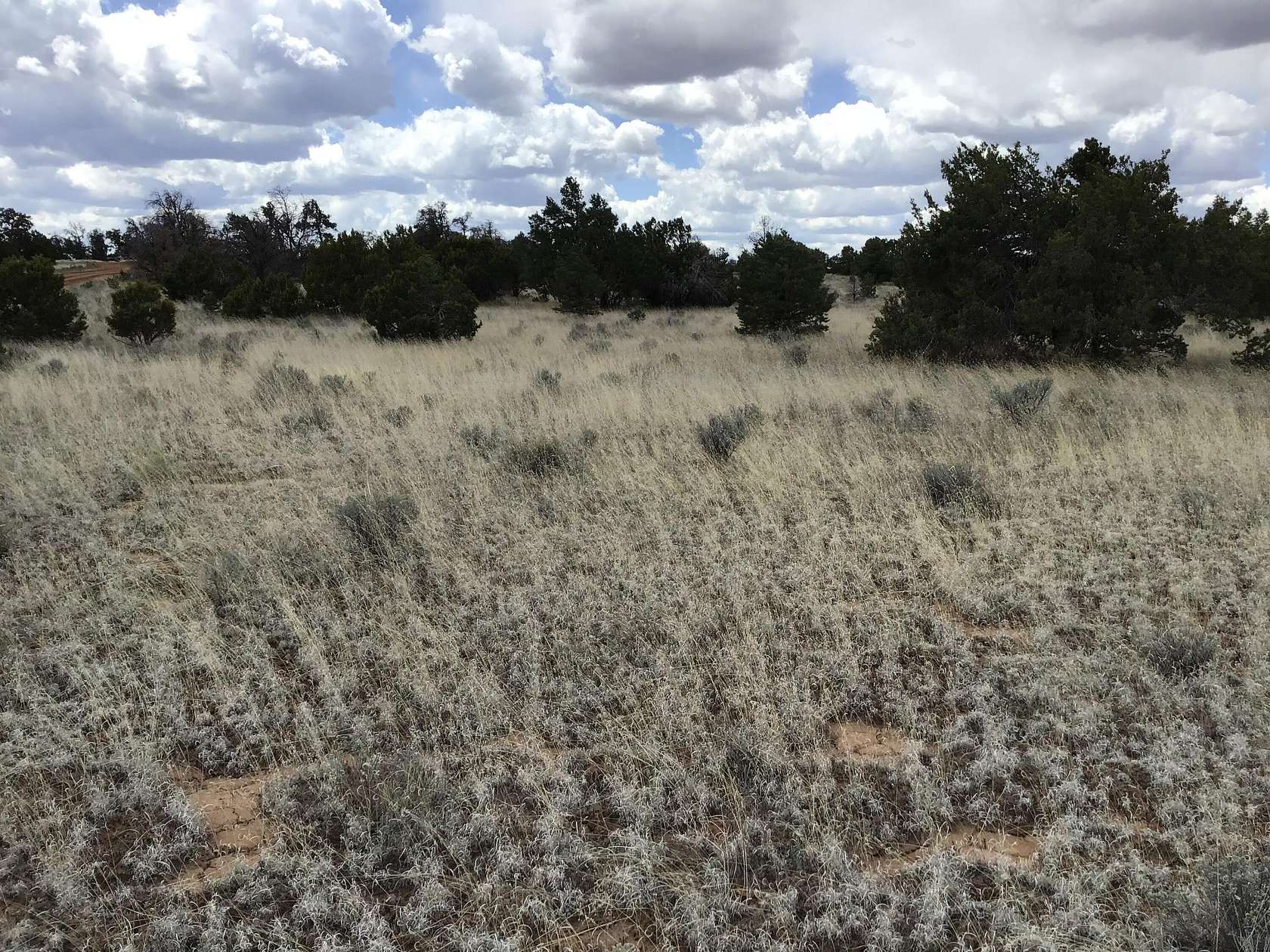 5 Acres of Recreational Land for Sale in Ramah, New Mexico
