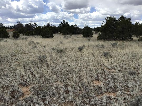 5.04 Acres of Land for Sale in Ramah, New Mexico