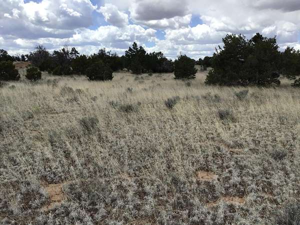 5 Acres of Recreational Land for Sale in Ramah, New Mexico