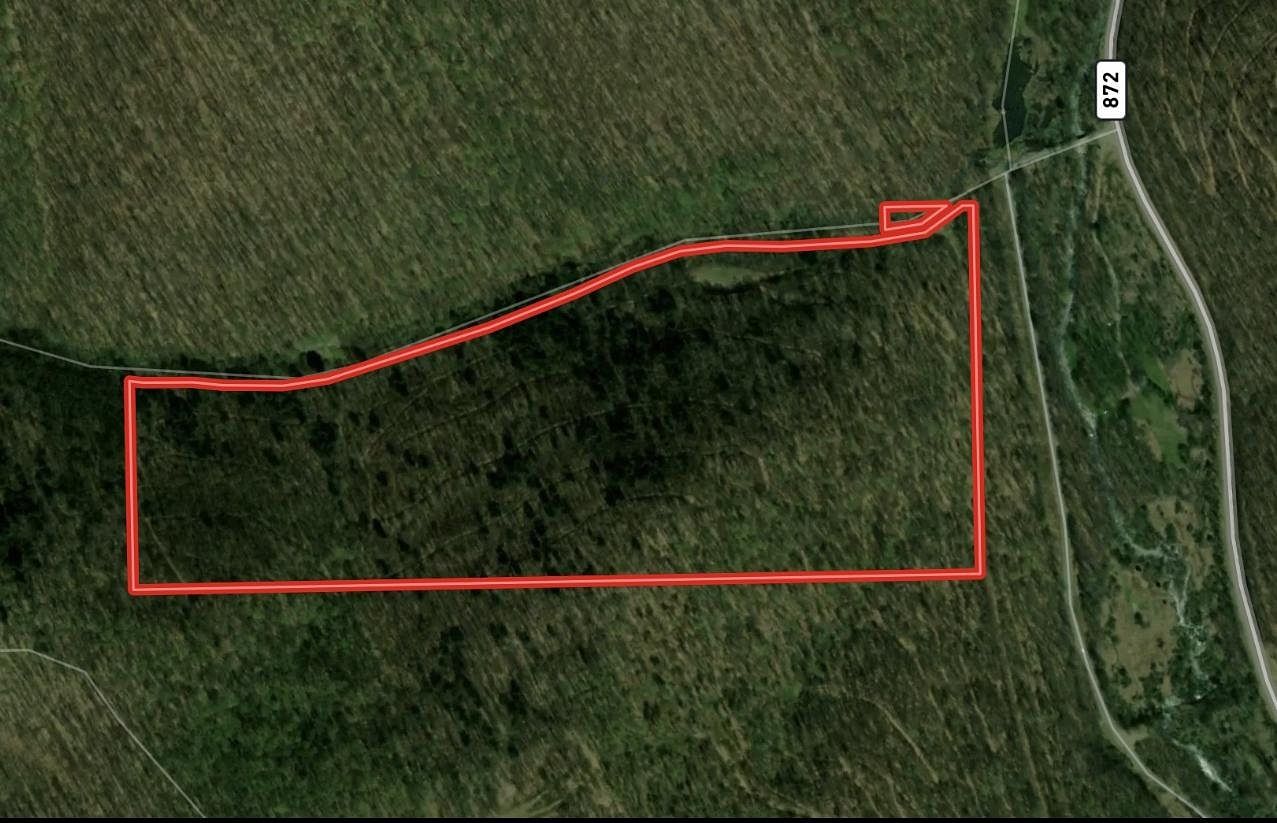 61 Acres of Recreational Land for Sale in Coudersport, Pennsylvania