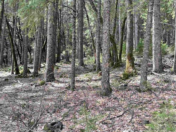 0.12 Acres of Residential Land for Sale in Dunsmuir, California