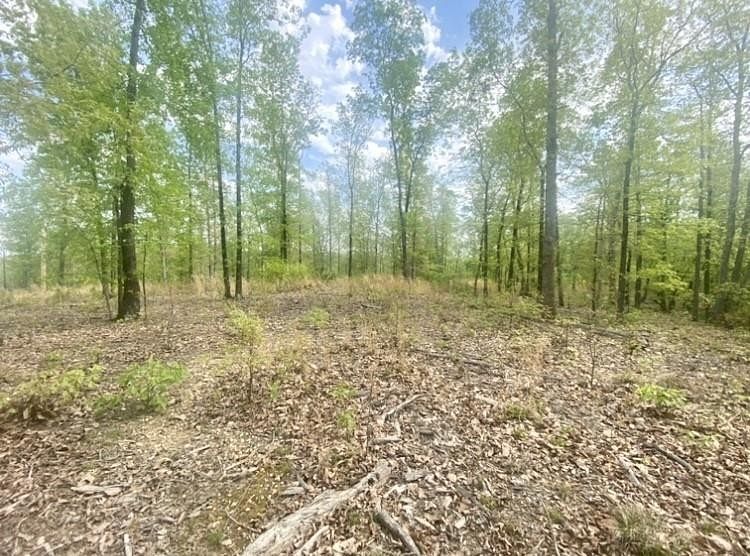 21.1 Acres of Land for Sale in Stewart, Tennessee