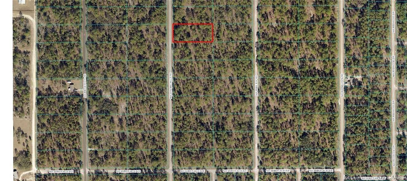 1 Acre of Residential Land for Sale in Dunnellon, Florida