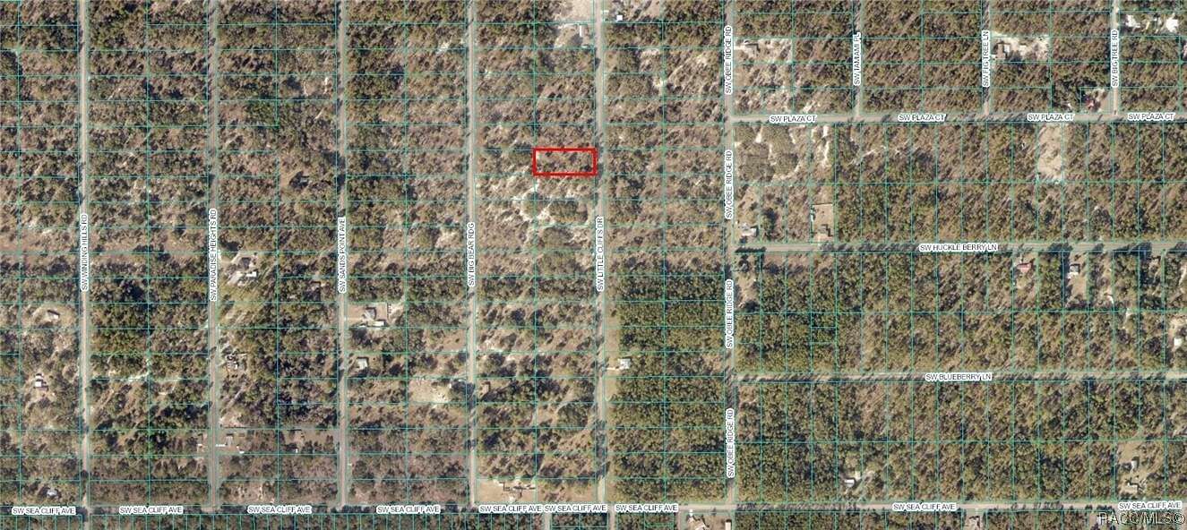 0.99 Acres of Residential Land for Sale in Dunnellon, Florida