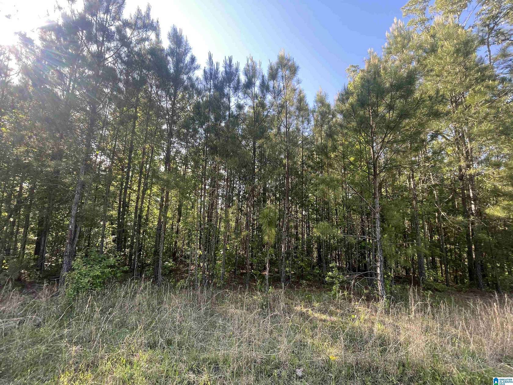 0.3 Acres of Land for Sale in Sylacauga, Alabama
