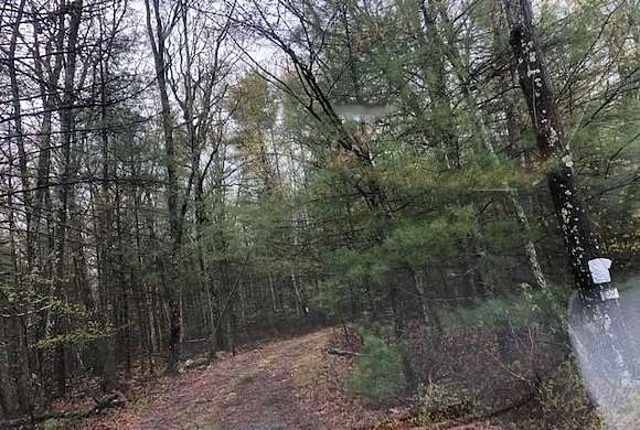 11.13 Acres of Land for Sale in Eldred, New York