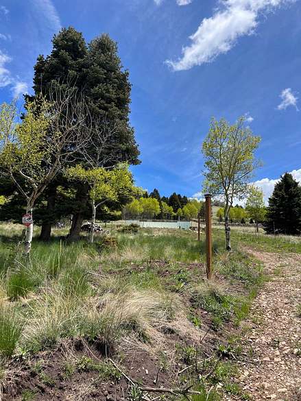 0.85 Acres of Residential Land for Sale in Angel Fire, New Mexico