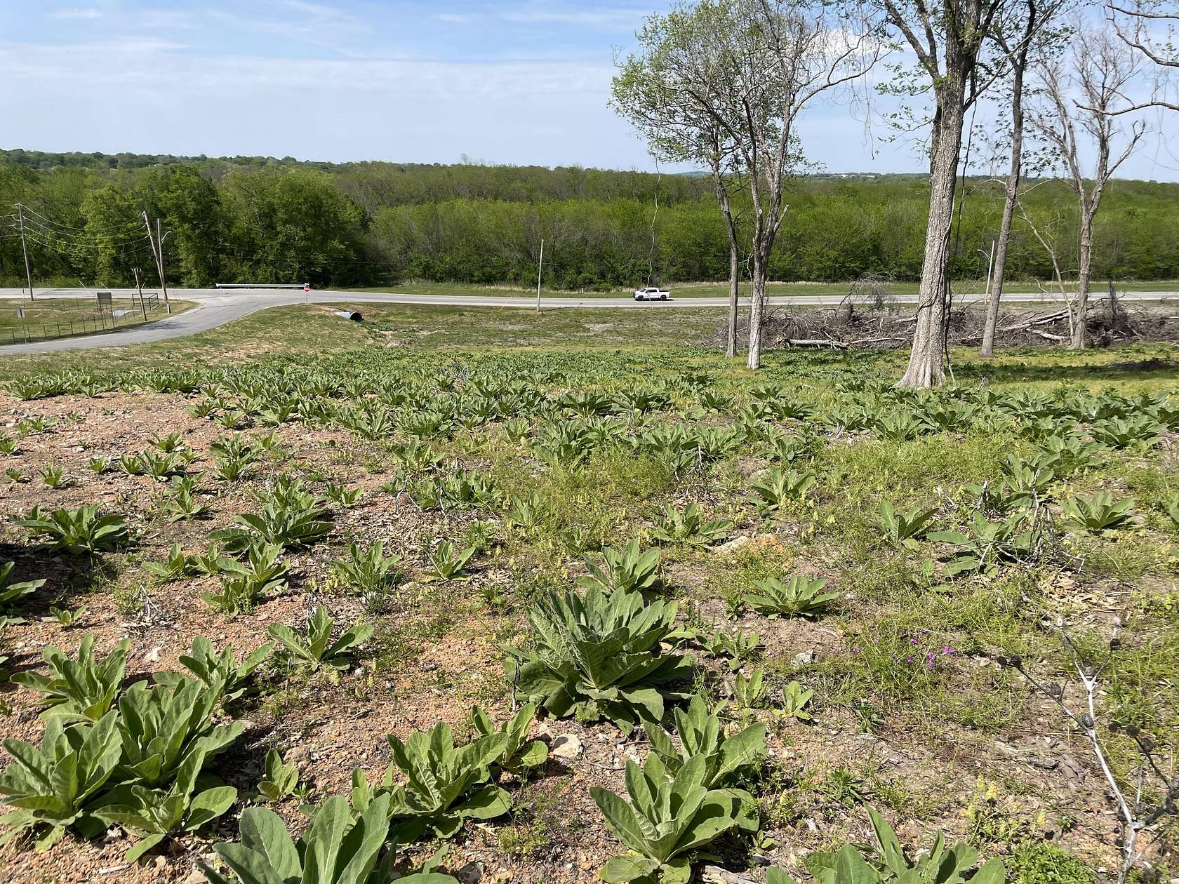 10.2 Acres of Land for Sale in Grove, Oklahoma