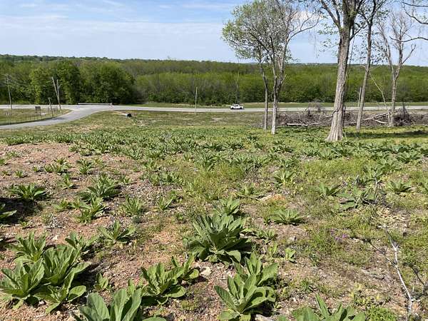 10.2 Acres of Land for Sale in Grove, Oklahoma