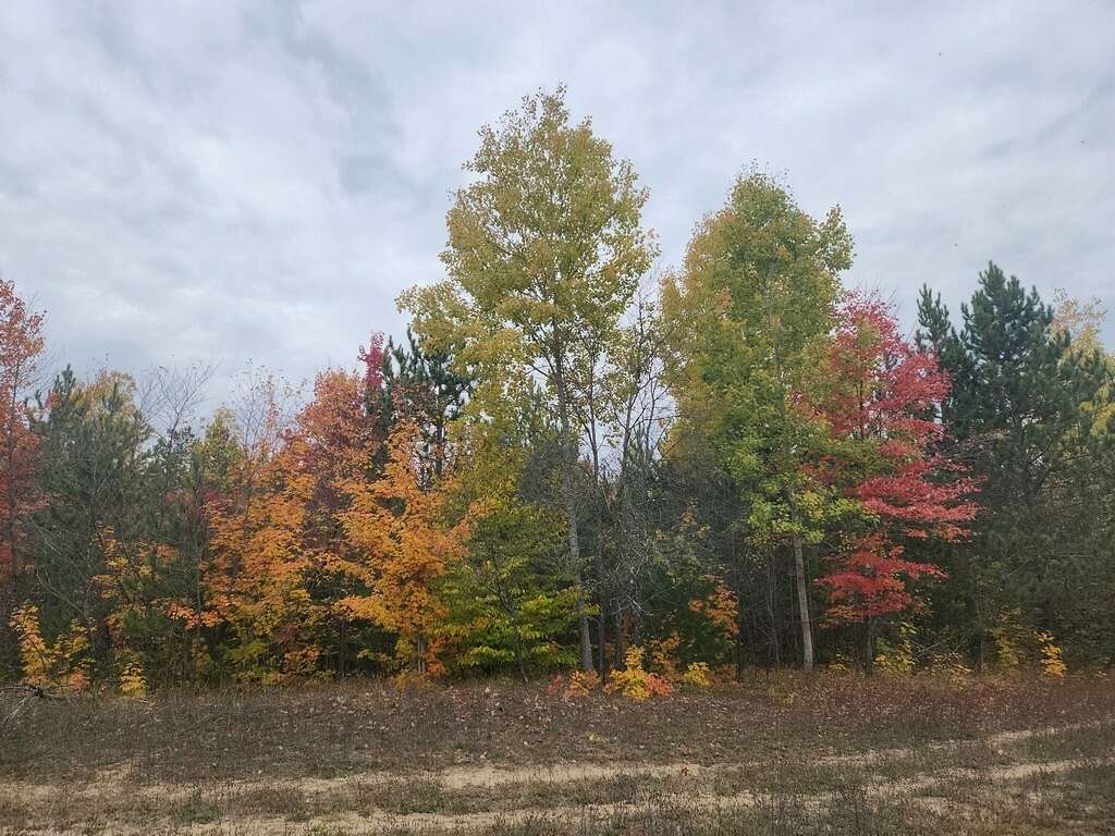 81 Acres of Recreational Land for Sale in Gaylord, Michigan